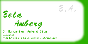 bela amberg business card